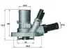 Термостат Mahle knecht TI 149 88 (фото 1)