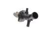 Термостат mahle knecht TM58101