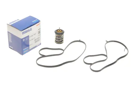 Термостат Mahle knecht TX253105D