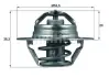 Термостат Mahle mahle knecht TX8888D