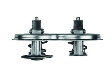 Термостат с прокладкой mahle knecht TX33D