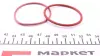 Паливний фільтр Mahle knecht KX72D2 (фото 2)