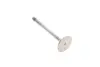 Впускний клапан Mahle knecht 013 VE 30934 000 (фото 2)
