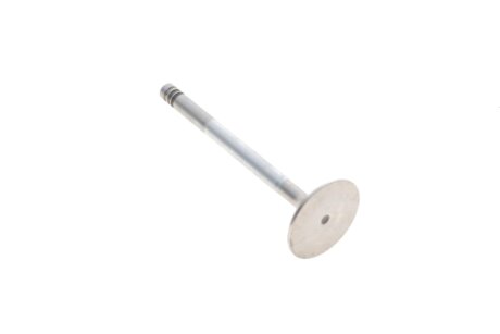 Впускний клапан mahle knecht 013VE30934000