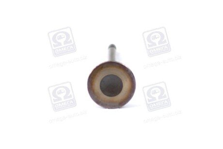 Впускной клапан mahle knecht 029VE30528000