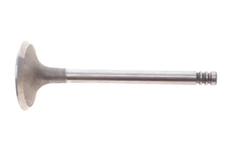 Впускний клапан Mahle knecht 029 VE 30900 000