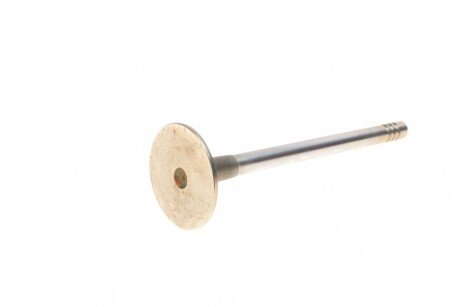 Впускной клапан mahle knecht 029VE31162000