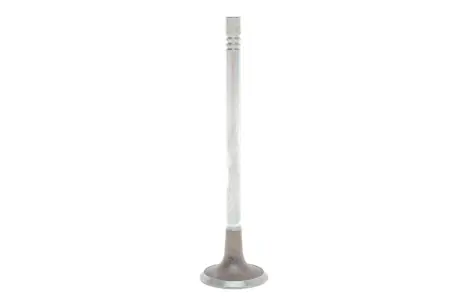 Впускний клапан Mahle knecht 039 VE 30980 000
