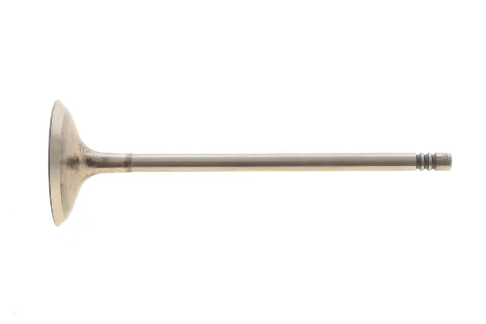Впускной клапан mahle knecht 081VE31396000