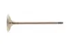 Впускной клапан mahle knecht 081VE31396000