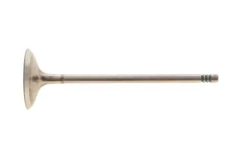 Впускний клапан Mahle knecht 081VE31396000