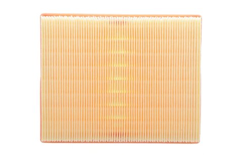 Фільтр повітряний RENAULT Austral 1.2ETECH200Hybrid H5F601 mann C19008