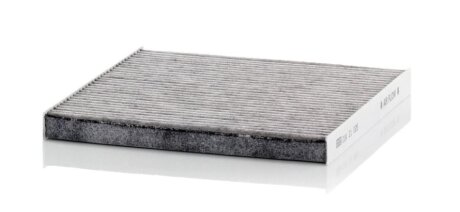 Фільтр DACIA(RENAULTGROUP) Spring EV mann CUK21025 на Рено 11