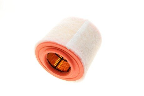 Фільтр повітря mann C16012