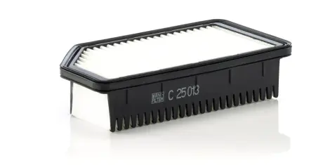 Повітряний фільтр MANN C 25 013