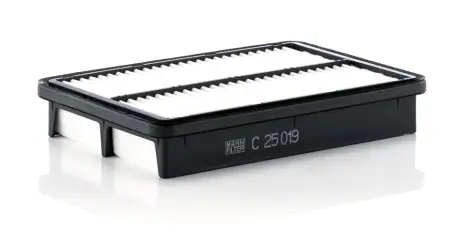 Воздушный фильтр MANN C25019