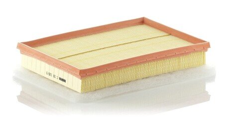 Воздушный фильтр mann C301253