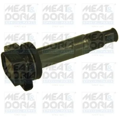 ���� meat & doria 10357