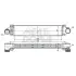 MEAT & DORIA FORD Інтеркулер Mondeo IV, S-Max 2.5 06-, LANDROVER Discovery Sport, Freelander II, Range Rover Evoque Meat & Doria 995235 (фото 1)