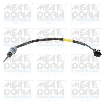 Датчик температур вихл. газів Meat & Doria 12182 (фото 1)