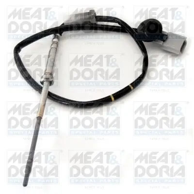 Датчик температур вихл. газів Meat & Doria 12193 (фото 1)