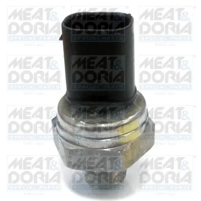 MEATDORIA DB Датчик давления топлива A-Class W169,B-Class W245,C-Class W204,S-Class W221 2.0/4.0CDI meat & doria 9362