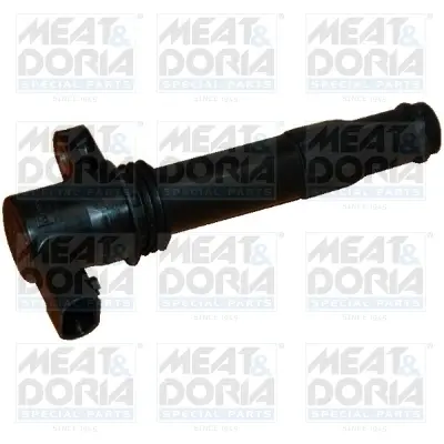 MEATDORIA Катушка зажигания LANDROVER FREELANDER 2,5 V6 00-. meat & doria 10389