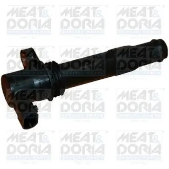MEATDORIA Катушка зажигания LANDROVER FREELANDER 2,5 V6 00-. meat & doria 10389 Rover