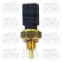 MEATDORIA RENAULT Датчик температуры воды Sandero,Logan,Duster,Kangoo,Trafic,Laguna meat & doria 82138