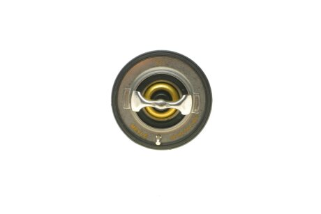 Термостат NISSAN 82C 2,0D / MITSUBISHI PAJERO GDI meyle 0282820004