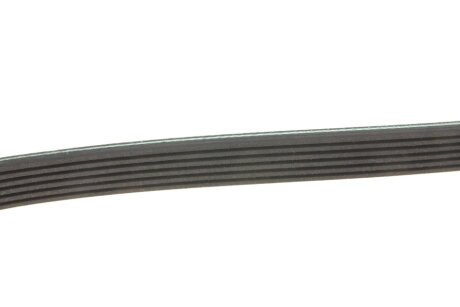 Приводной ремень генератора meyle 0500061815