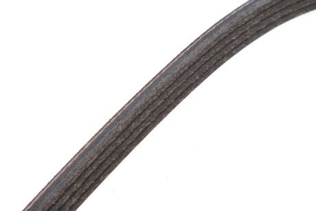 Пас поліклиновий 4PK711E meyle 0500040711E