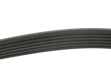 Приводной ремень генератора meyle 0500061155