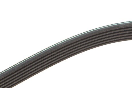 Привідний ремінь генератора meyle 0500061195