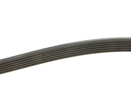 Пас поліклиновий_6 PK 1390 meyle 0500061390