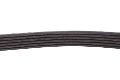 Приводной ремень генератора meyle 0500061980