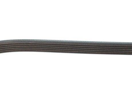 Пас поліклиновий_6 PK 2150 meyle 0500062150