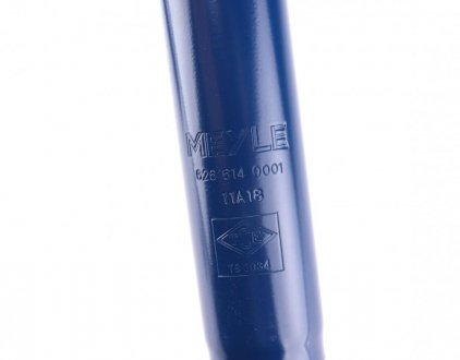 Передний амортизатор (стойка) meyle 6266140001