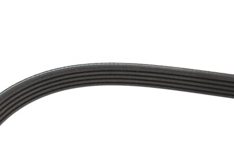 Привідний ремінь генератора meyle 0500050925