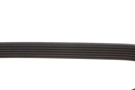 Приводной ремень генератора meyle 0500061110