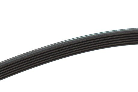 Привідний ремінь генератора meyle 0500061613