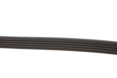 Приводной ремень генератора meyle 0500051435