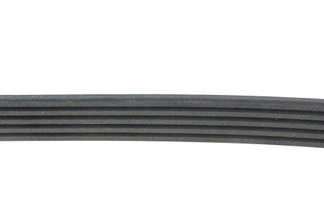 Привідний ремінь генератора meyle 0500050850