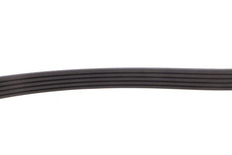 Приводной ремень генератора meyle 0500050884