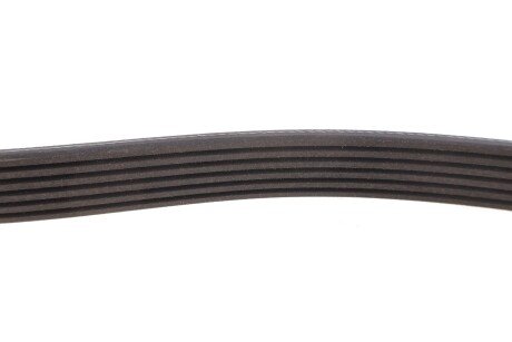 Приводной ремень генератора meyle 0500061690