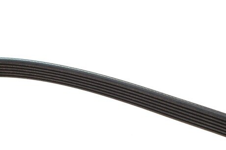 Привідний ремінь генератора meyle 0500062120