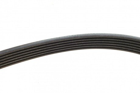 Приводной ремень генератора meyle 0500062155