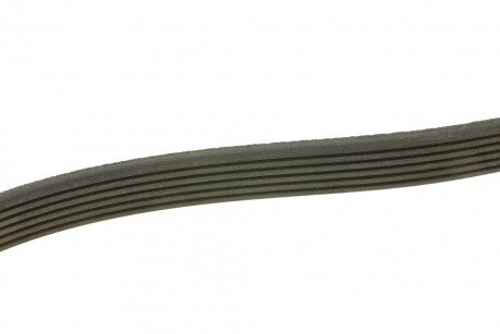 Привідний ремінь генератора meyle 0500062255