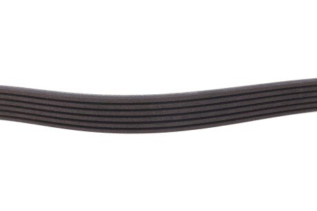 Приводной ремень генератора meyle 0500062590