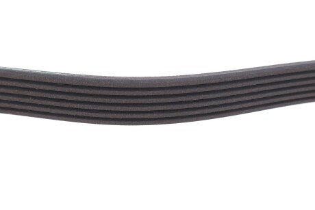 Привідний ремінь генератора meyle 0500061210